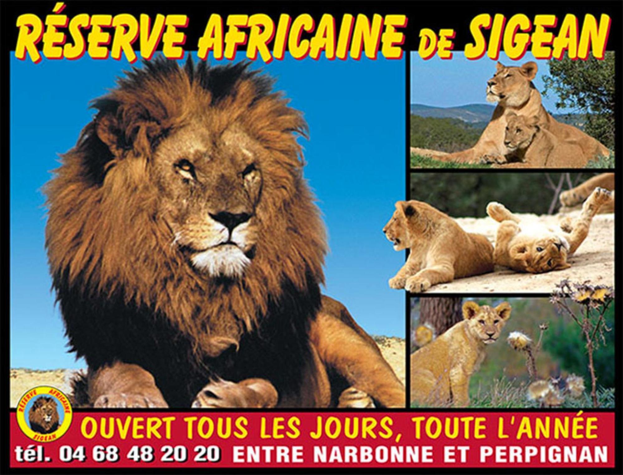 Le Mieukerien - Reserve Africaine 15 Mn, Plage 200M, Terrasse Port-la-Nouvelle Exterior foto